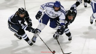 jrkan直播-法甲比赛评估：关键数据解读与技术层面分析